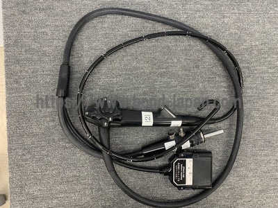 Video Gastroscope | FUJIFILM | EG-250WR5