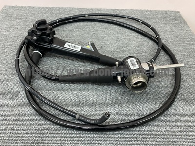 Video Gastroscope | OLYMPUS | GIF-Q260