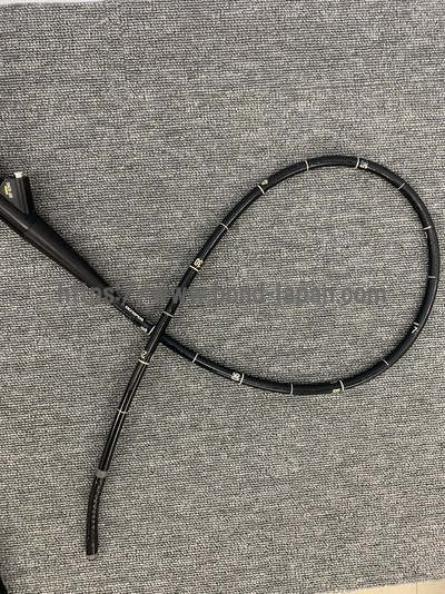 Video Gastroscope | OLYMPUS | GIF-Q240