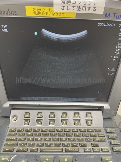 Color Doppler | SonoSite | M-Turbo