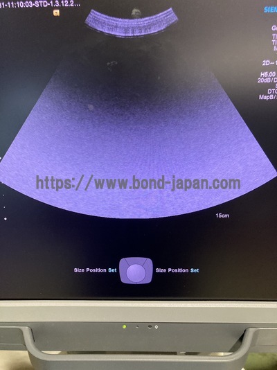 Ultrasound | SIEMENS | Acuson S1000 HELX