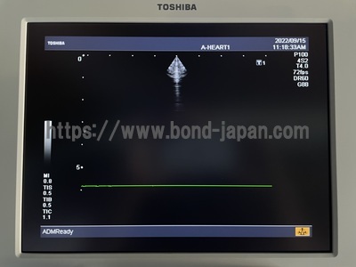 Color Doppler | CANON | SSA-580A Nemio XG